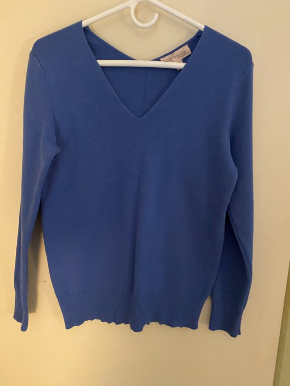Philosophy v-neck v-back sweater